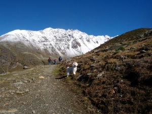 Montagna 2010 108