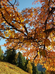 casa-bernardi-autunno-trentino