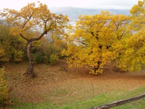 casa-bernardi-iole-autunno