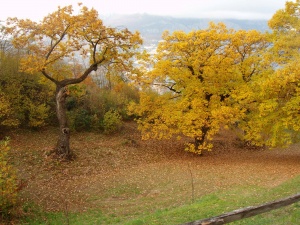 casa-bernardi-iole-autunno