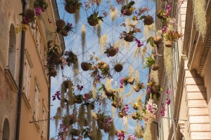 casa-bernardi-mansarda-fontanella-fiori-centro_n