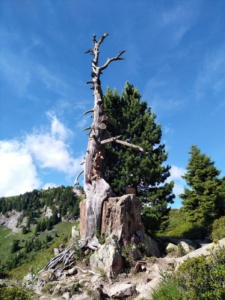 casa-bernardi-monumenti