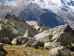 casa-bernardi-trentino3