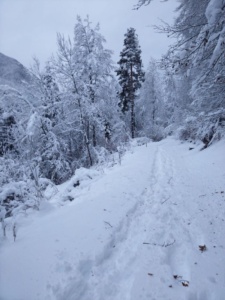 ciaspole-casabernardi-affitto