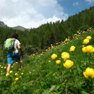 valle-dei-mocheni---palu-del-fersina---alta-val-del-laner---rifugio-sette-selle_